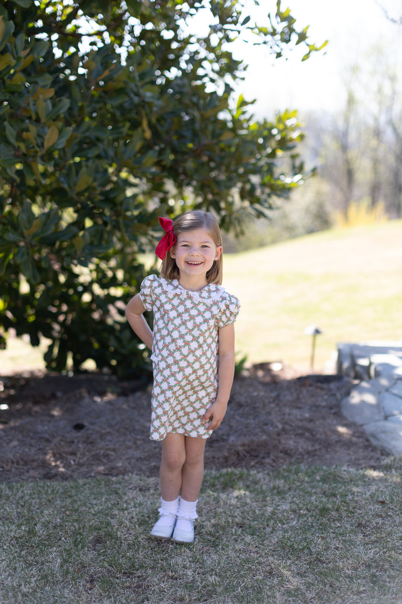 Olivia Apron Dress in Christmas Trellis