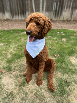 Large Bandana