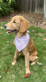 Bandana in Pink Windowpane